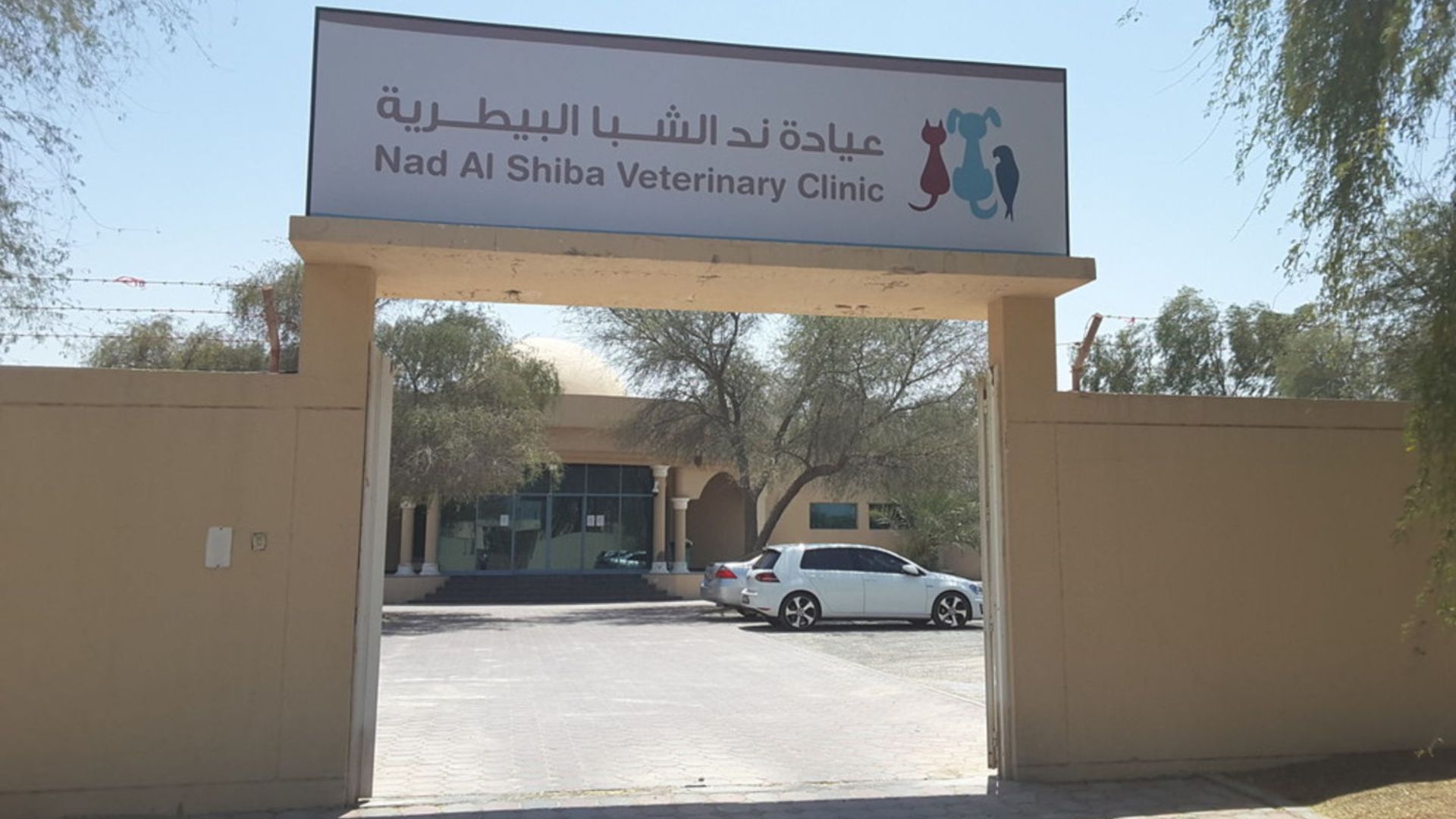 Unveiling Dubai's Top Veterinary Hospital: Your Pet's Ultimate Care